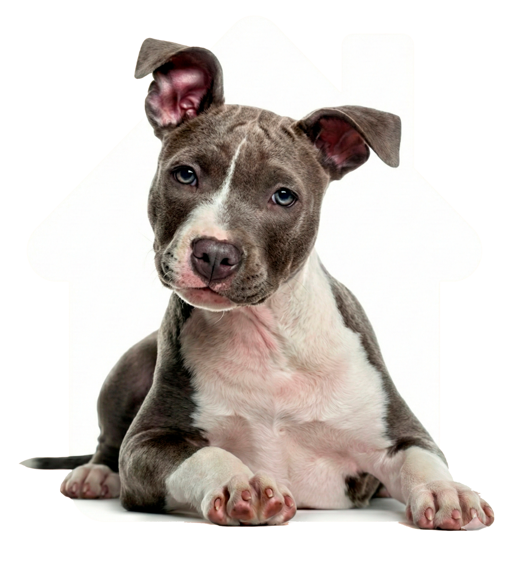 Instalaciones Can Suites